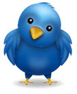 confused twitter bird